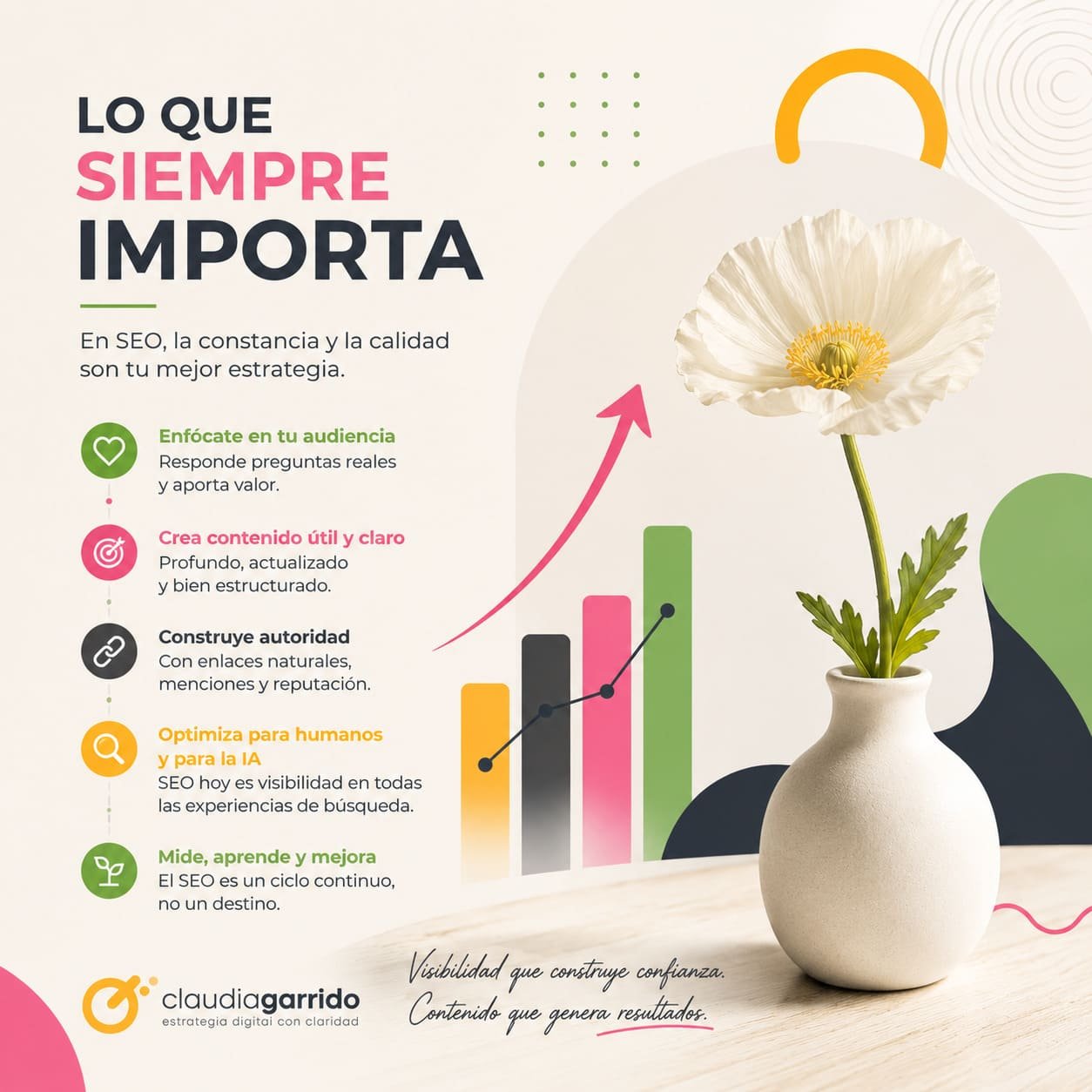 Que es seo, SEO, SEO que es, curso SEO, diagnóstico SEO, errores SEO, consejos SEO